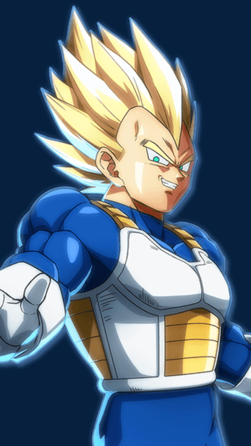 Dragon Ball FighterZ Unofficial Character Phone, Vegeta HD phone wallpaper