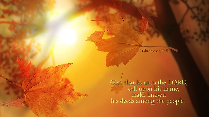 Give Thanks To The Lord – booklovers1, Bible Thanksgiving HD wallpaper
