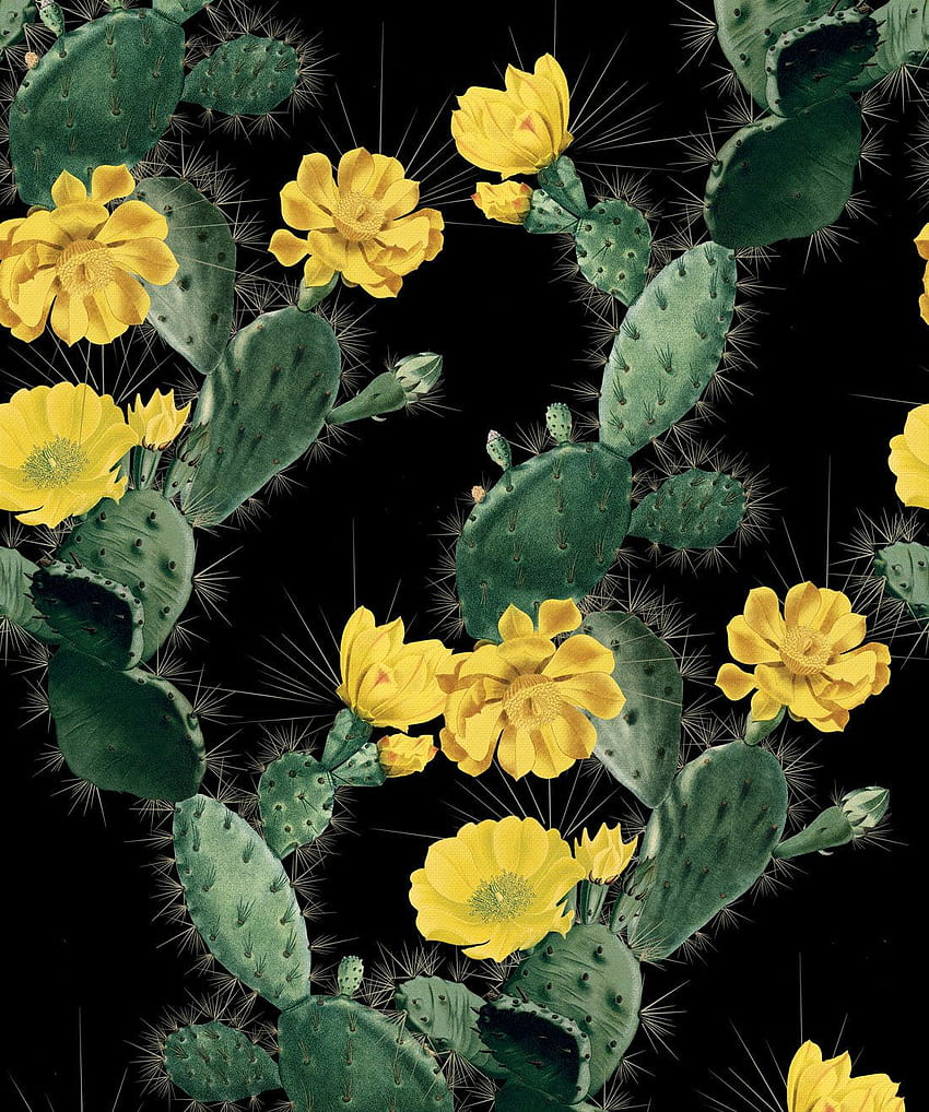 Alluring Cactus • Bold Bright Cacti Design • Milton, Yellow Cactus HD phone wallpaper