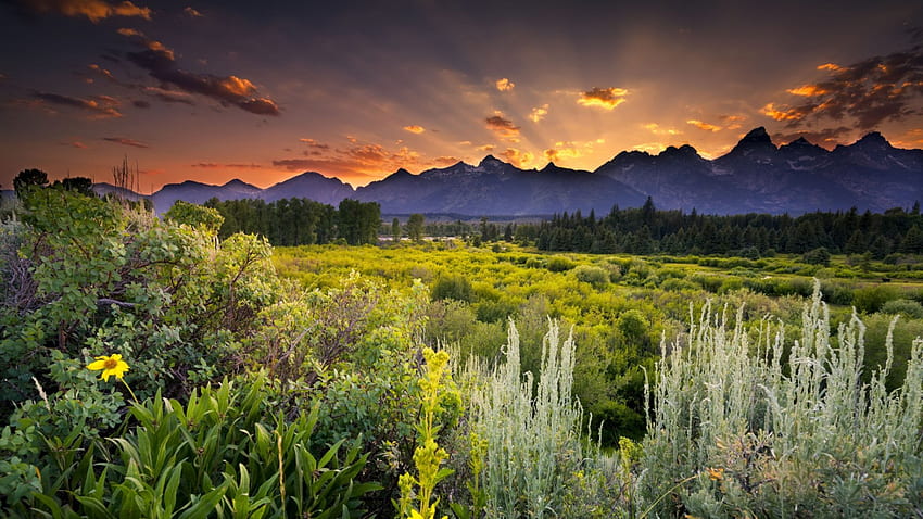 pemandangan indah saat matahari terbit grand tetons, lanskap, pegunungan, matahari terbit, tumbuh-tumbuhan Wallpaper HD