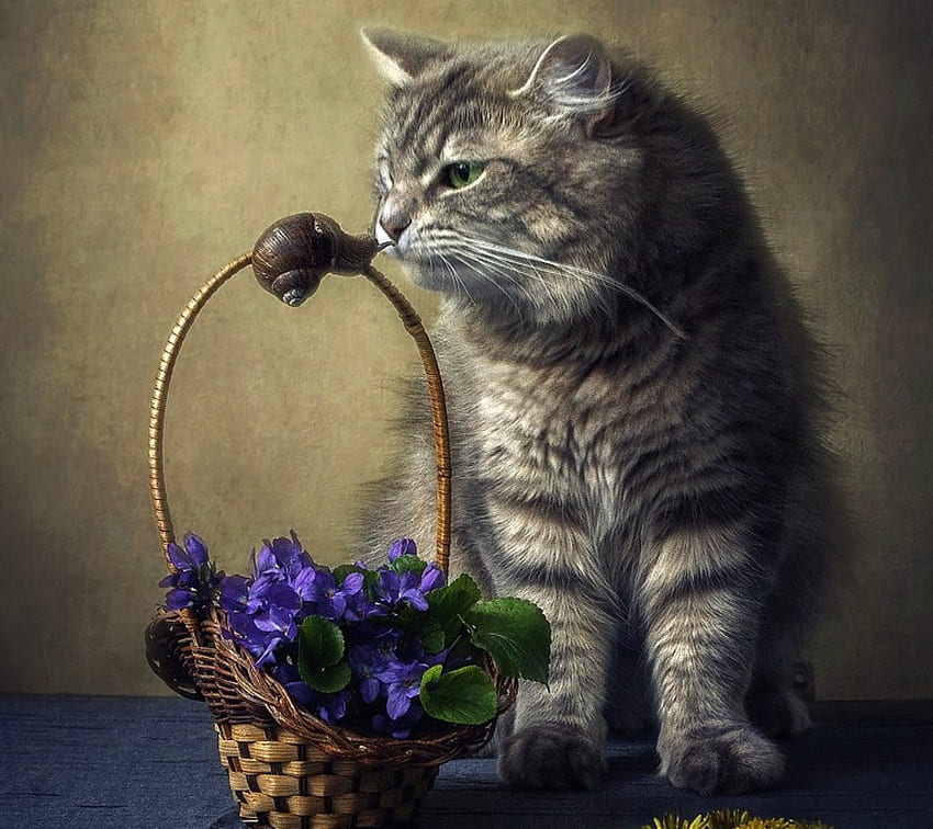Sniffing, animal, daykiney, cute, cat, spring, pisica, basket, flower, toporasi, violets HD wallpaper
