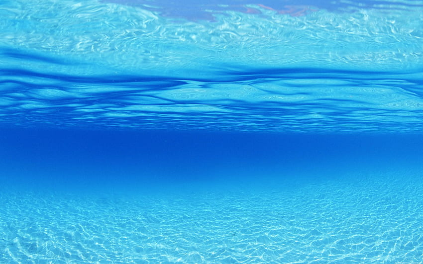 Blue Underwater, Blue Sea HD wallpaper