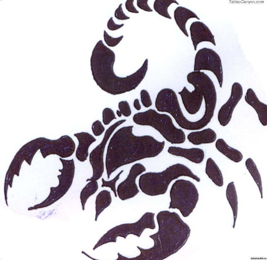 Tribal Scorpion Tattoo Design Classic Round Sticker  Zazzle