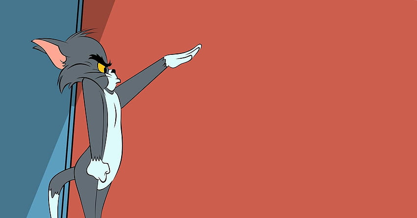 cartoon cats tom and jerry and background HD wallpaper