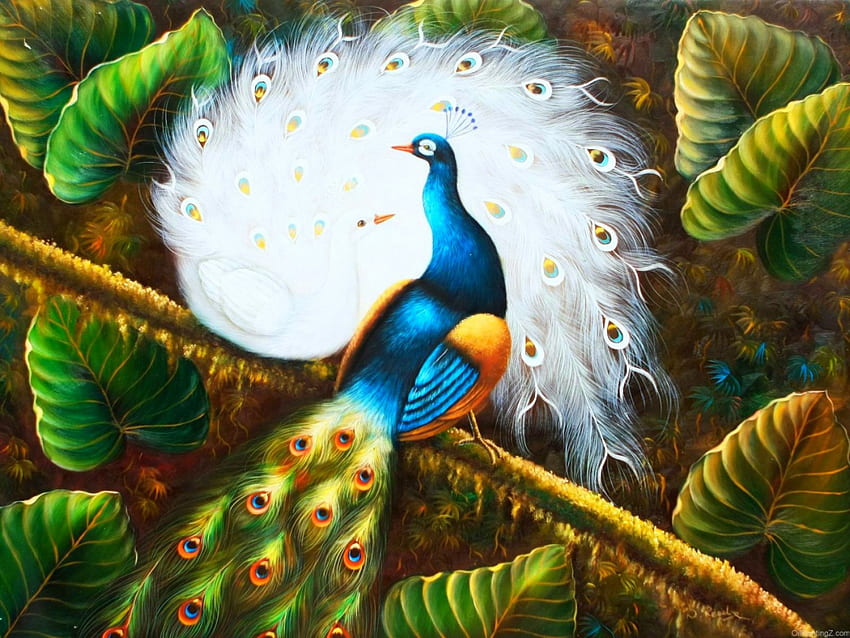 Peacock background, bird, art, garden, beautiful, background, leaves,  painting, pretty, peacock, lovely HD wallpaper | Pxfuel
