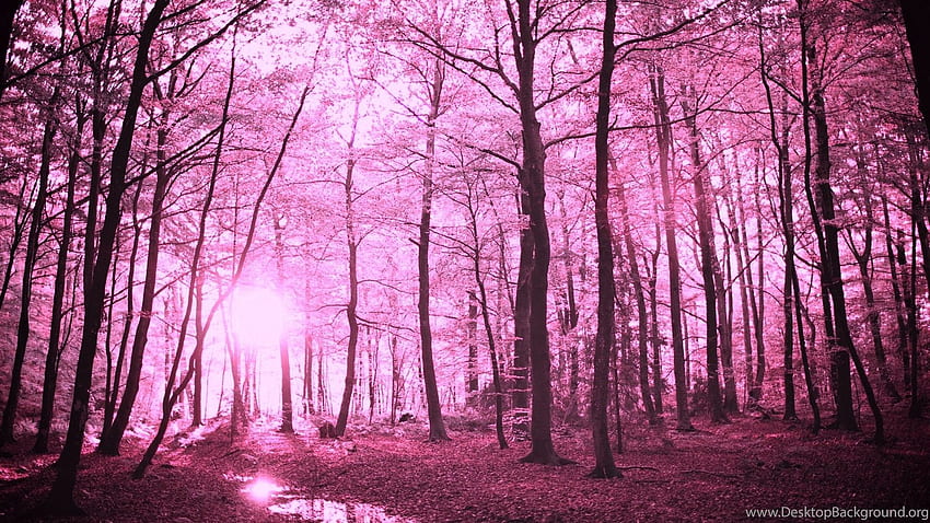 พื้นหลังป่าสีชมพูที่น่าหลงใหล วอลล์เปเปอร์ HD