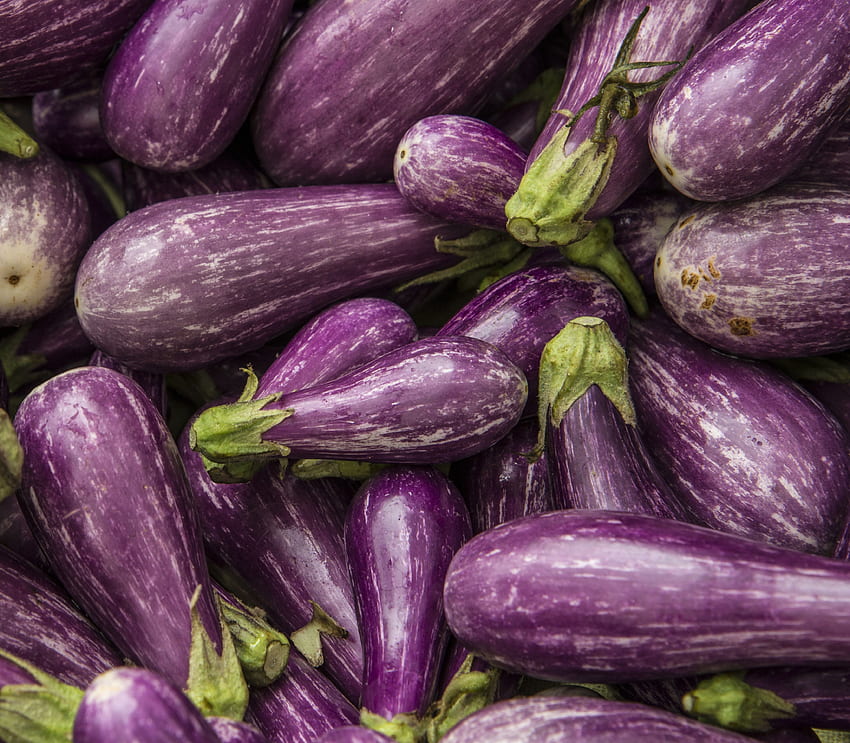 Eggplant Ultra . Background HD wallpaper