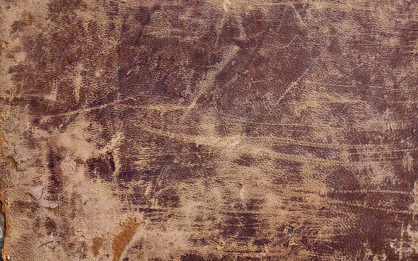 textura de capa de livro de couro antigo, melhor couro papel de parede HD