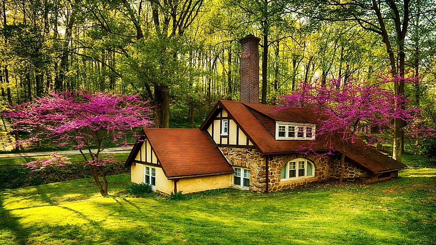 Rumah Hutan Indah di Musim Semi, pondok, sinar matahari, pepohonan, semak-semak, mekar, alam Wallpaper HD
