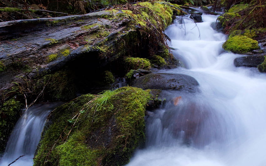 Most beautiful creek in Oregon, Wahkeena Creek, cascades, water, rocks, usa, landscape HD wallpaper