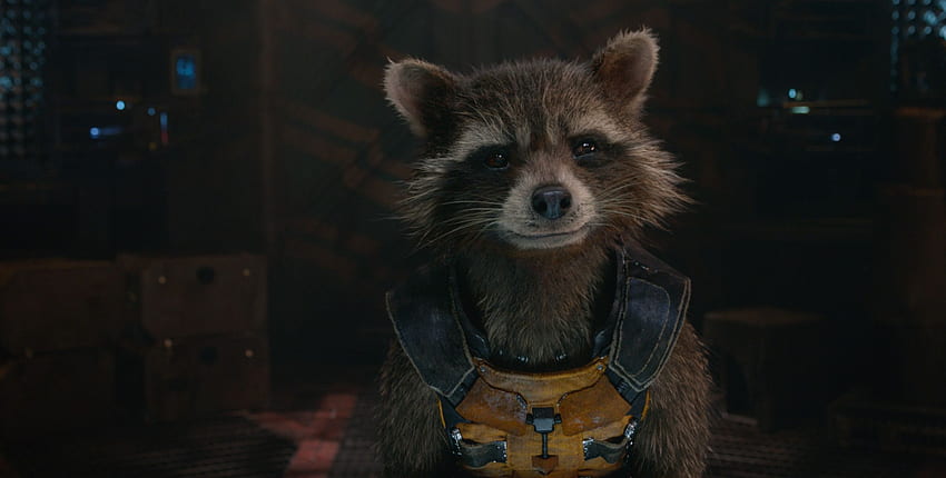 Rocket Raccoon จาก Marvel's Guardians of the Galaxy วอลล์เปเปอร์ HD