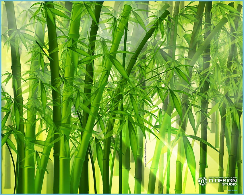 Bamboo Bamboo , Bamboo Background, Bamboo Forest - Bamboo, Minimalist Bamboo HD wallpaper