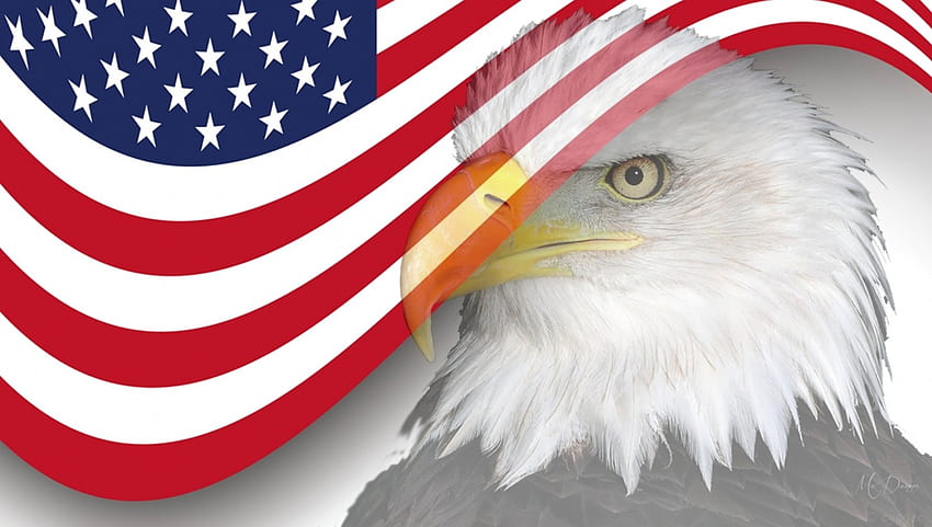 Elang dan Bendera AS, elang, AS, patriotik, 4 Juli, bendera, merah putih dan biru, kolase, bintang dan garis, Hari Kemerdekaan, Hari Bendera, patriot Wallpaper HD