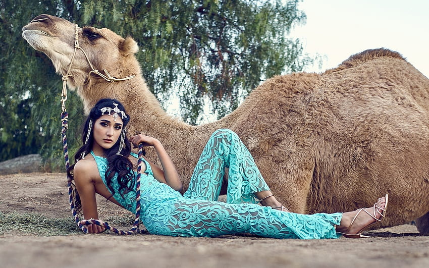 Beauty, blue, animal, camel, model, girl, woman HD wallpaper