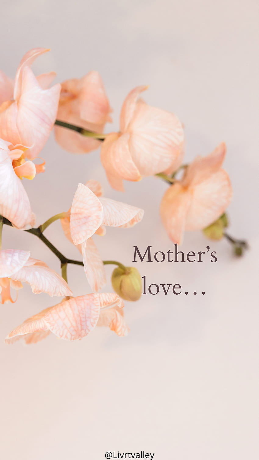 母の日、bestie、mother、bestmofamily、mymom、mothlove、sweetmma、loveyoumom、mothersday、respectformom、maa HD電話の壁紙