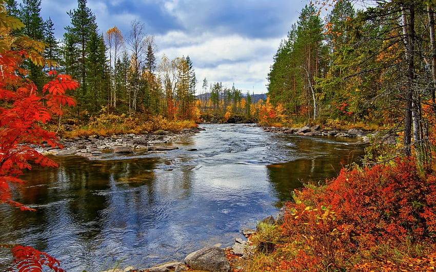 Autumn River, trees, river, autumn, water HD wallpaper