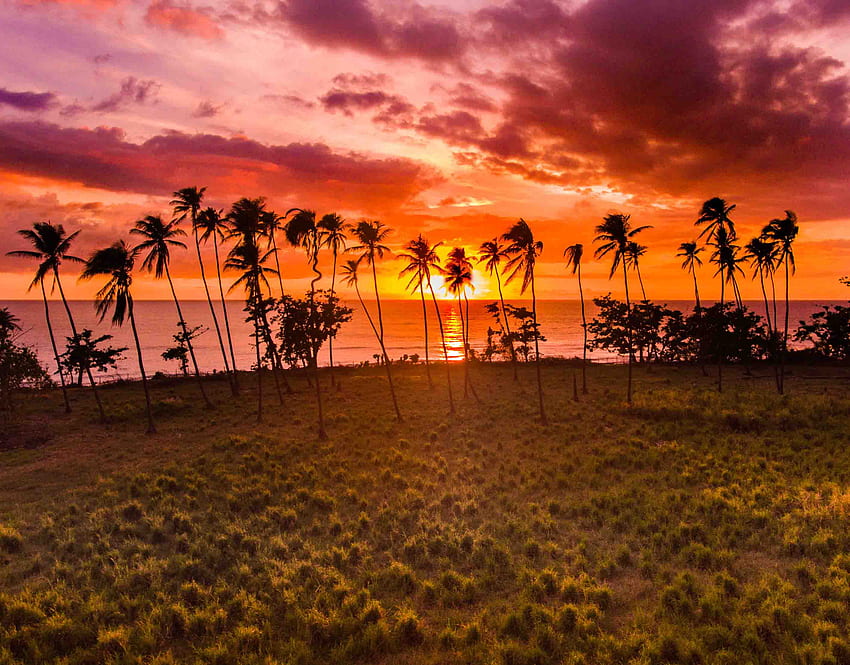 Vacation Rentals in Rincon, Puerto Rico - Beach Front, Houses, Villas, Condos, Puerto Rico Beach Sunset HD wallpaper