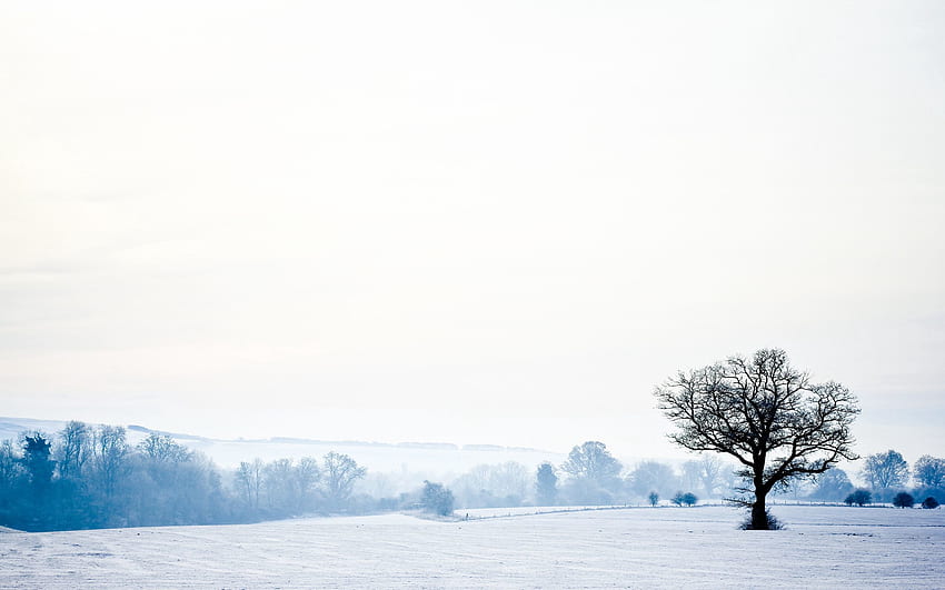 Пейзаж, Зима, Природа, Сняг, Дърво, Самотно, Студено, Пустота, Празнота HD тапет