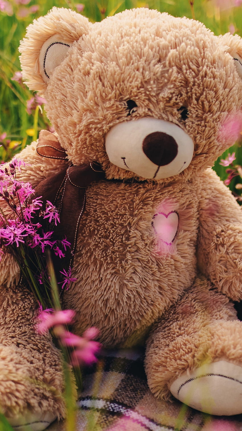 Teddy Bear Ka, Flowers, Grass Background, grass, background HD phone wallpaper