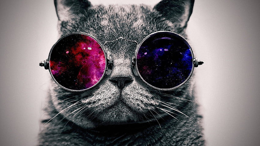 Fajny Kot W Okularach -. COOL., Hipster Galaxy Cat Tapeta HD