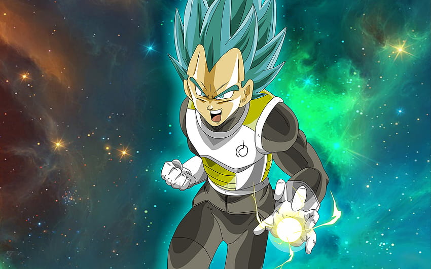Vegeta Súper Saiyajin Dios Súper Saiya. 2045 fondo de pantalla