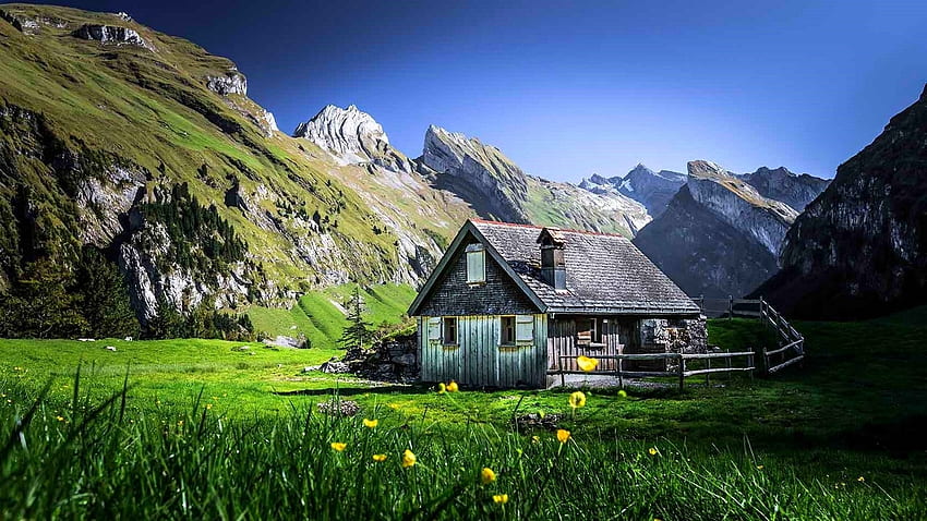Cabin in Austrian Alps, landscape, sky, nature, flowers, mountains HD wallpaper
