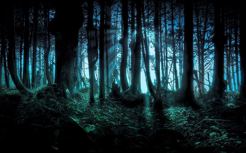 Forêt hantée, forêt d'horreur Fond d'écran HD