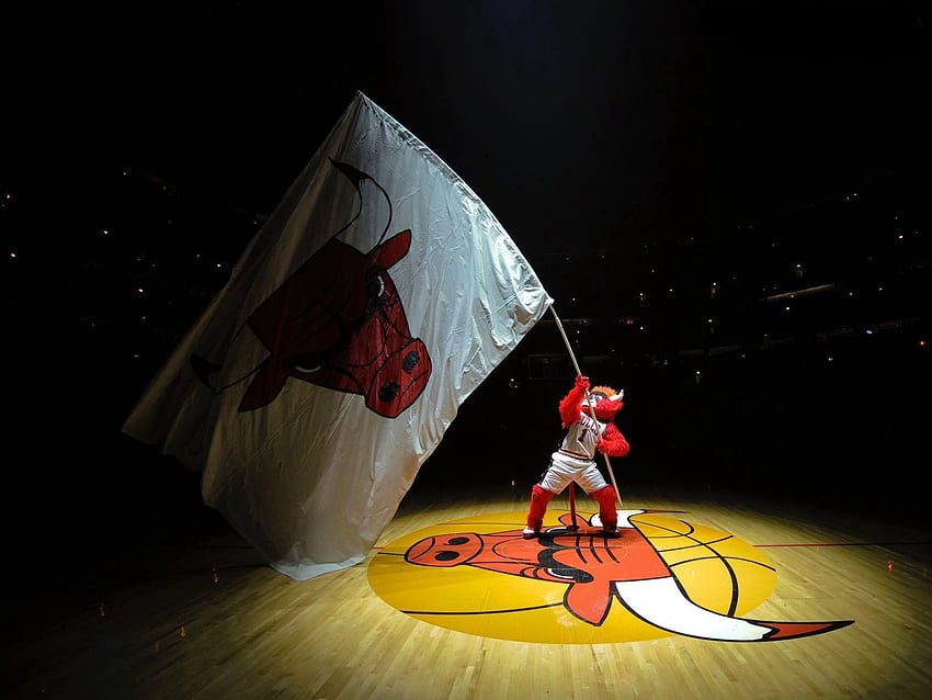 Sport, Basketball, Symbol, Flagge, Fan, Emblem, Chicago Bulls HD-Hintergrundbild