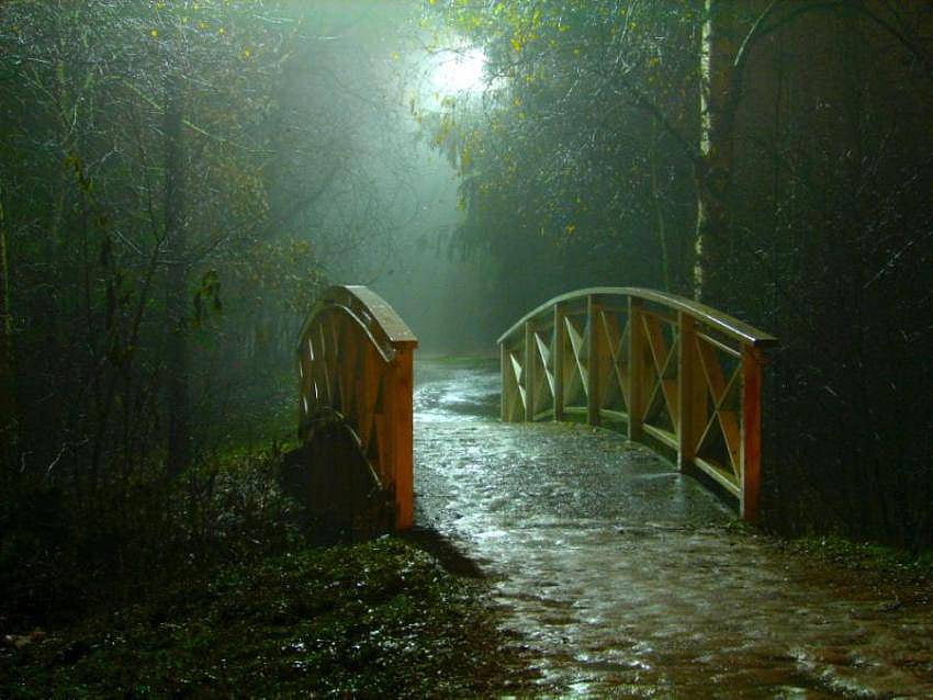 Мост през нощта, дървен, калдъръм, дъжд, лунна светлина, дървета, мост, романтичен HD тапет