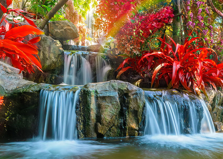 Cascate da giardino, bellissime, fiori, rocce, pietre, parco, piante, giardino, arcobaleno, cascate, cascata Sfondo HD