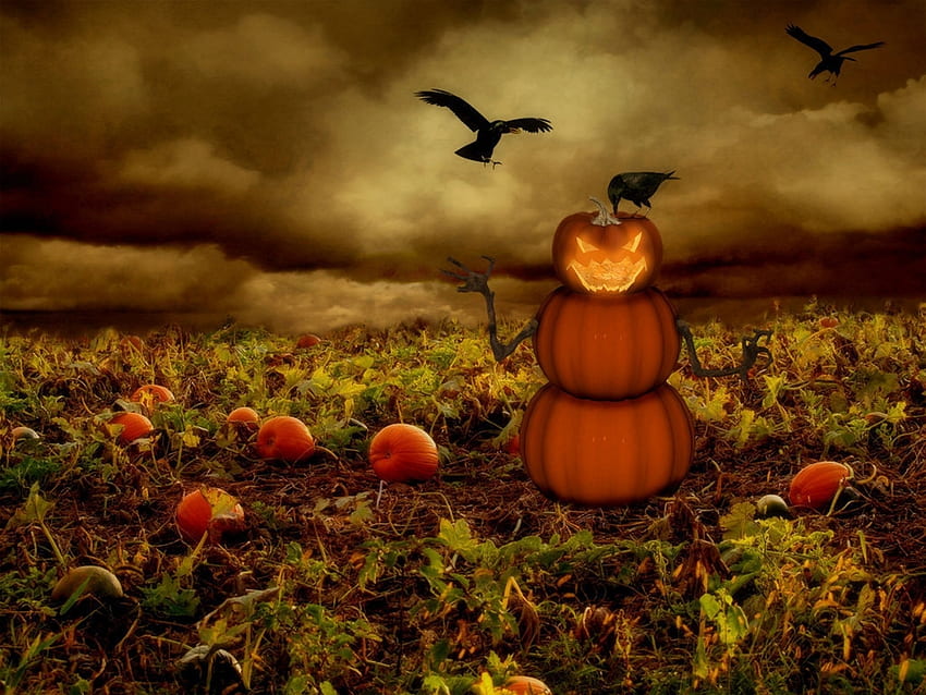Holidays, Background, Halloween HD wallpaper