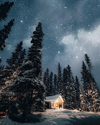 50 Gorgeous Winter Wallpaper Downloads For iPhone FREE