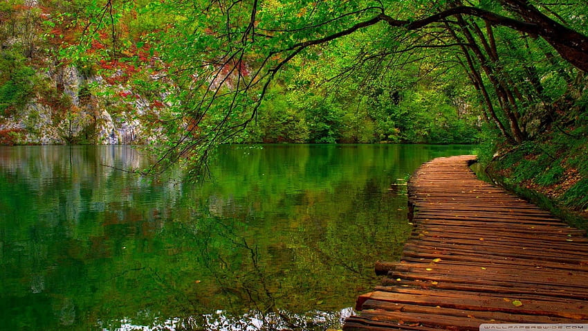Nature River Wooden Path Ultra Background, Creek Nature HD wallpaper