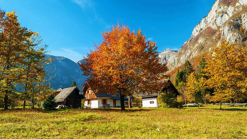 Autumn in Slovenian Mountains, landscape, trees, sky, houses HD wallpaper