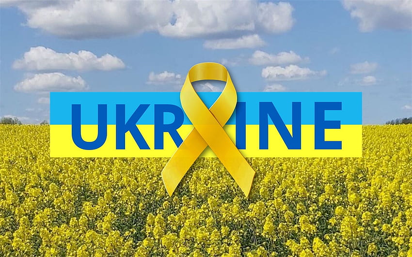 Stand with Ukraine, Ukraine, flag, field, ribbon, rapeseed HD wallpaper