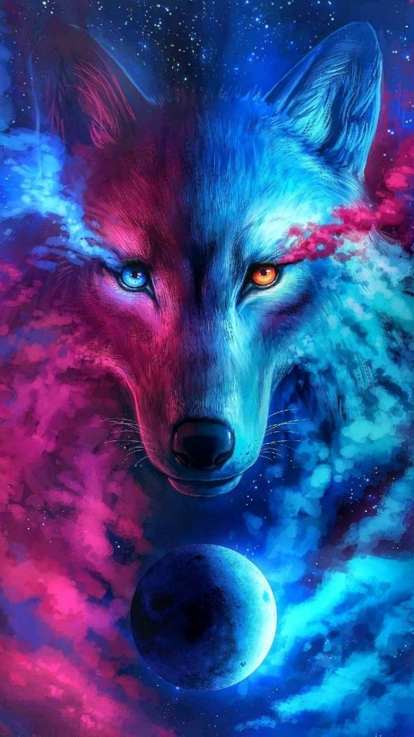 Lobo, espíritu animal lobo, lindo zorro y lobo fondo de pantalla del teléfono