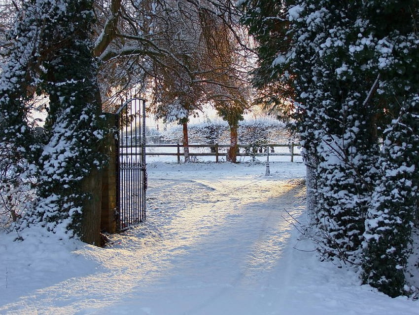 Gerbang, cahaya, salju, pohon Wallpaper HD