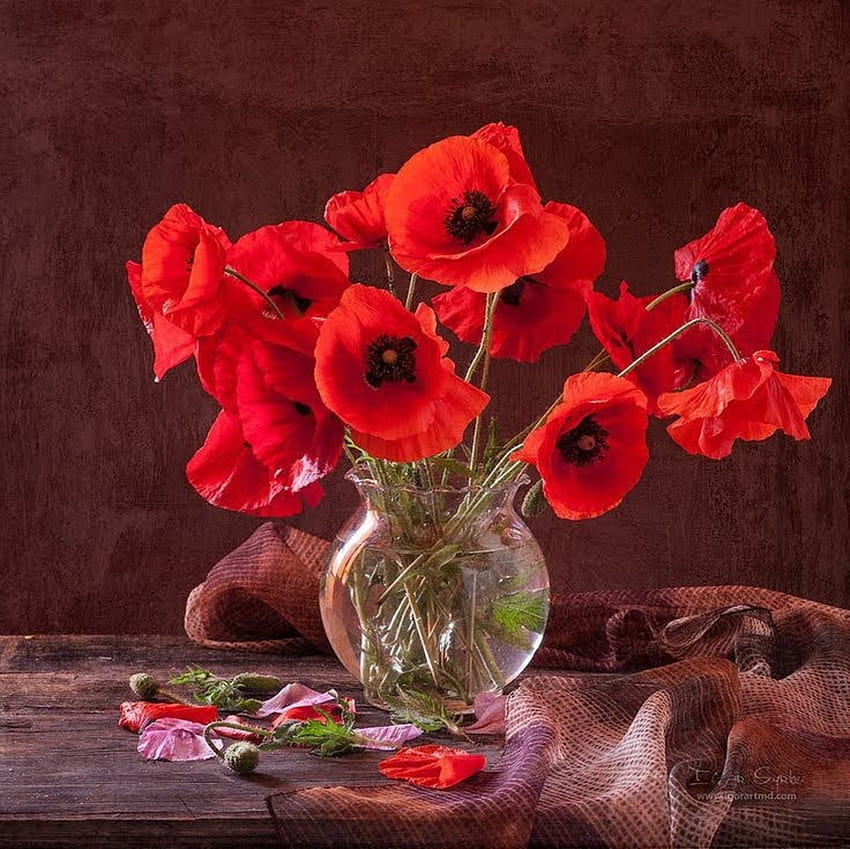 Bouquet of poppies in vase, Bloom, Vase, Spring, Bunch HD wallpaper