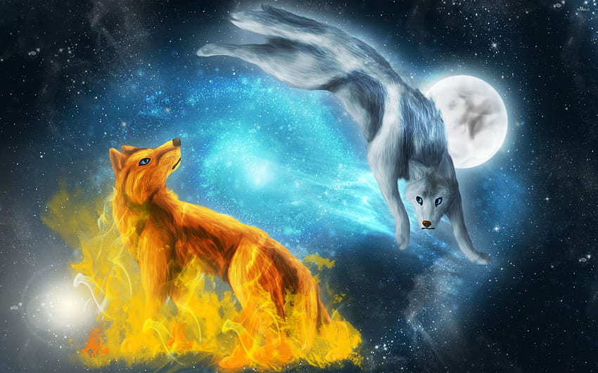 Wolf Cute Galaxy, Cute Drawn Wolf HD wallpaper