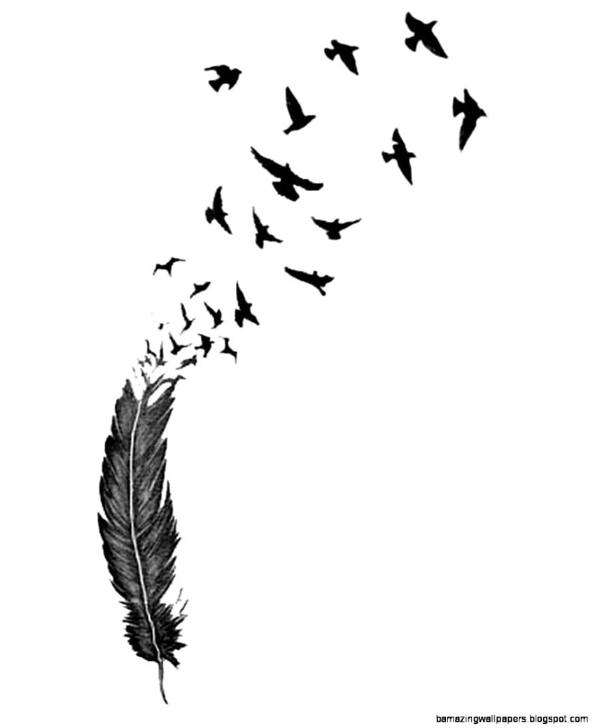 Fliegender weißer Vogel, Schwarzweiss-Vogel HD-Handy-Hintergrundbild
