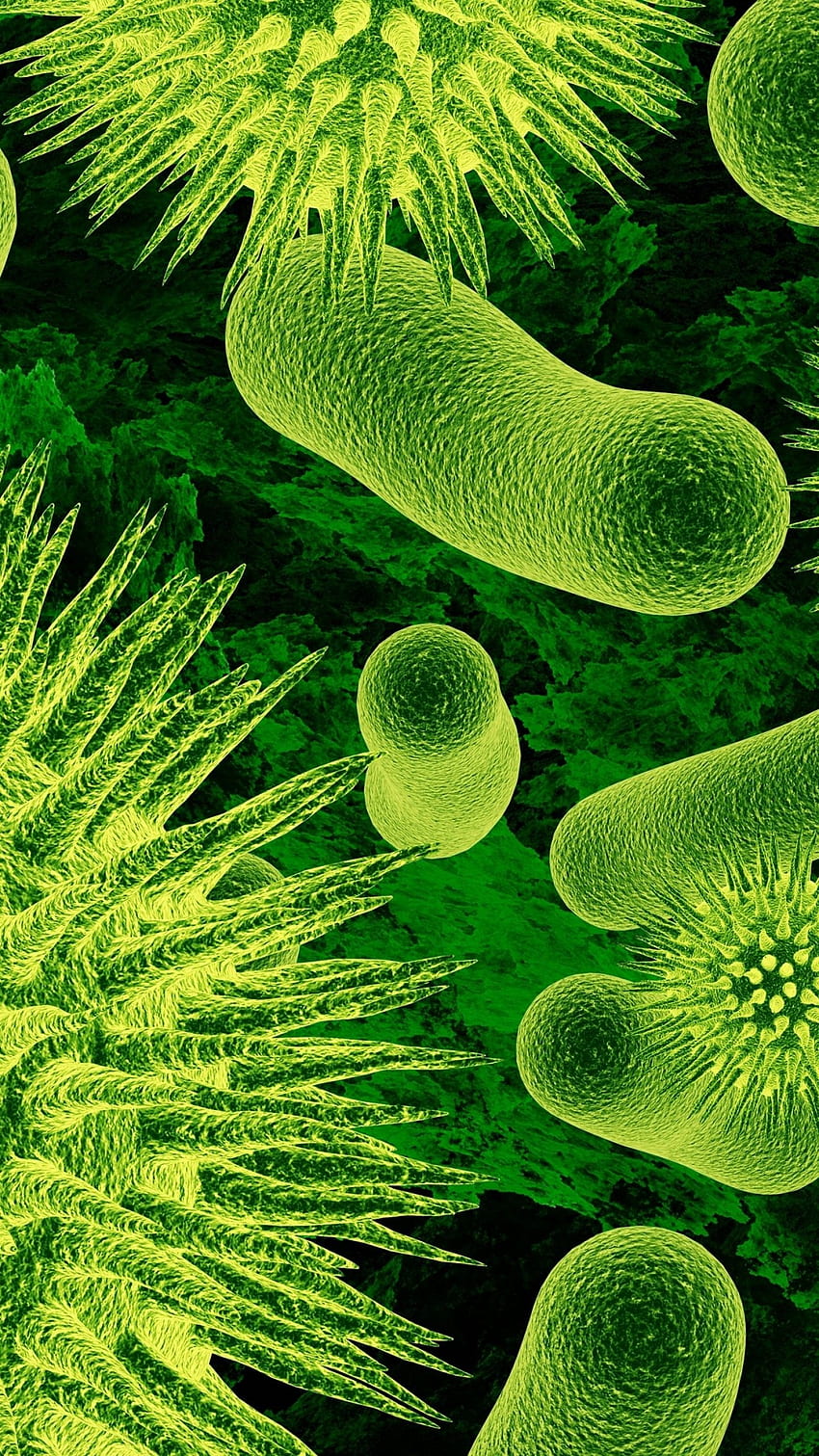 Bakteri, Virüs, Yeşil, Mikrobiyal, , Yaratıcı Grafikler HD telefon duvar kağıdı