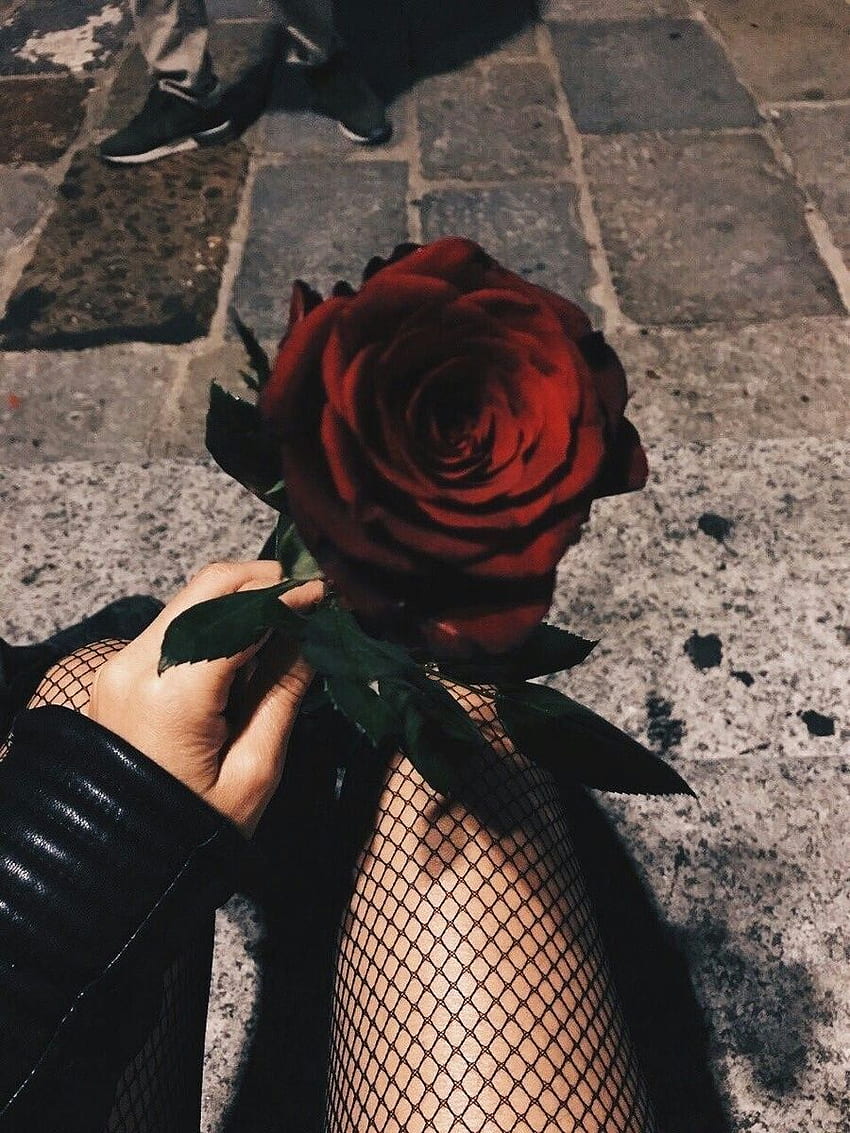 Rose on FLOWERS •. Aesthetic roses, Grunge aesthetic, Goth aesthetic HD phone wallpaper