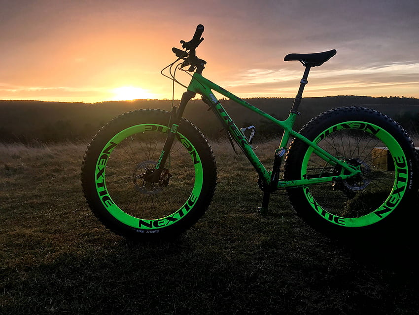 Sunrise on Cannock chase. Trek Farley 8 fat bike. Mountain biking HD wallpaper