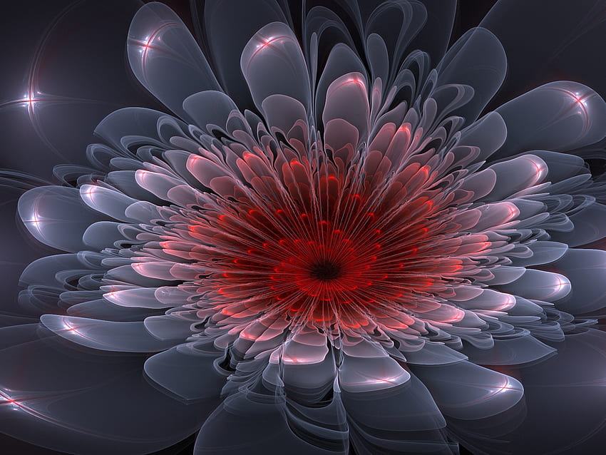 ❀ღ**❖❀ star_flower ❀ღ**❖❀, étoile, fractale, abstrait, fleur Fond d'écran HD