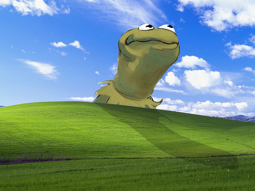 Das ist mein neuer Favorit ... Bliss Windows XP Kermit The Frog Microsoft HD-Hintergrundbild