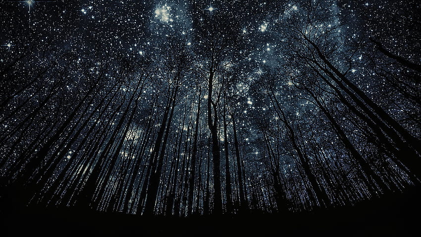 зашеметяващо звездно небе близо до Женева от Хари Финдър HD тапет