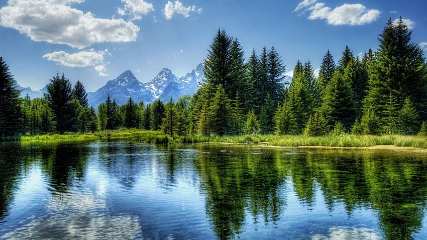 エバーグリーン フォレスト レイク。 風景 , 美しい風景, 森の湖 高画質の壁紙