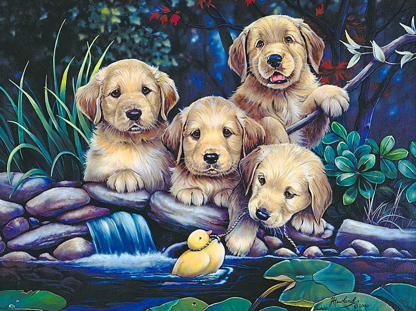 Puppies to the rescue, toy, river, creek, dogs, cute, puppies, nice, animals, adorable, water, pond, friends, sweet, rescue, beautiful, grass, summer, falling, playing, flowers, lovely, duckling HD wallpaper