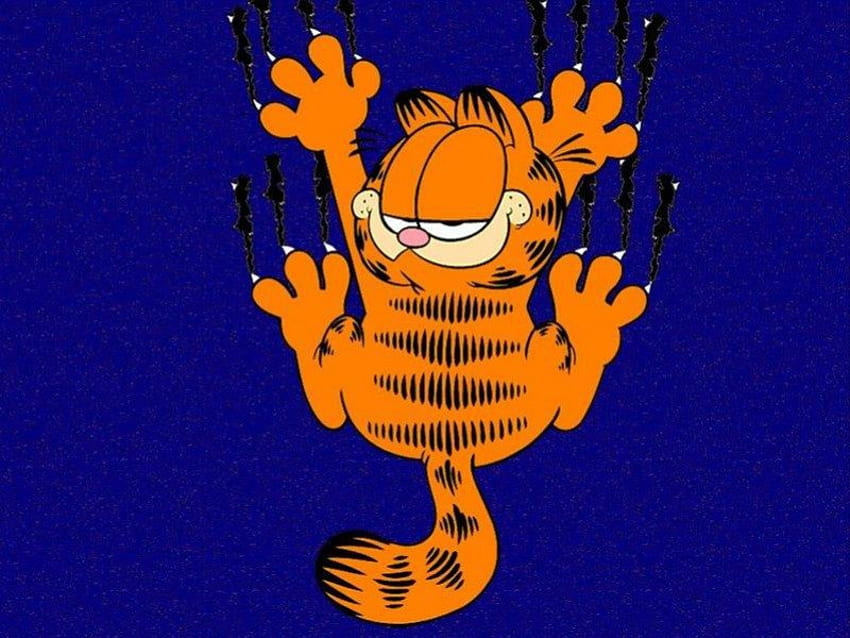 Garfield Mencakar, garfield, mencakar Wallpaper HD