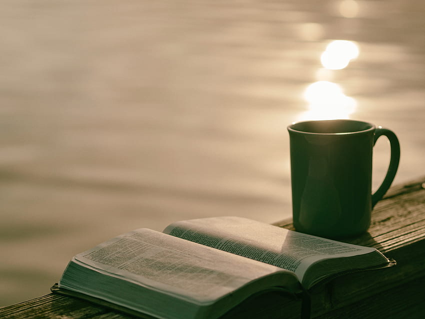 Cup, Book, Reading HD wallpaper